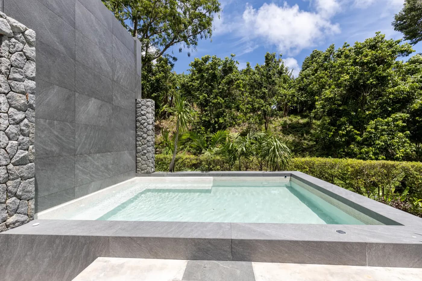 Light-finish plunge pool beside a grey stone feature wall in a tropical garden
