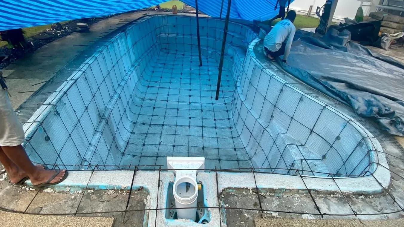 Freeform garden pool before renovation
