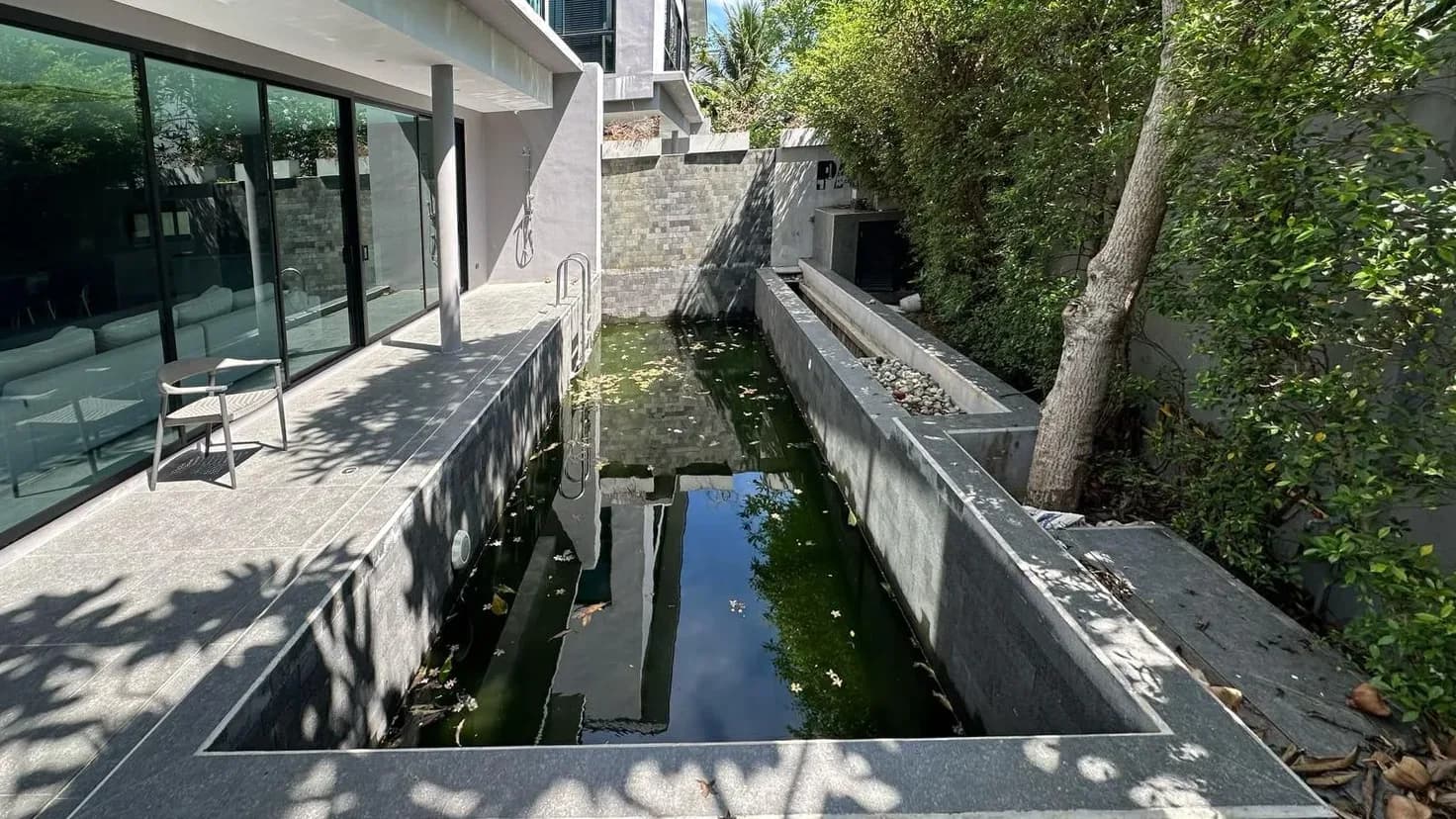 Side-garden lap pool before renovation