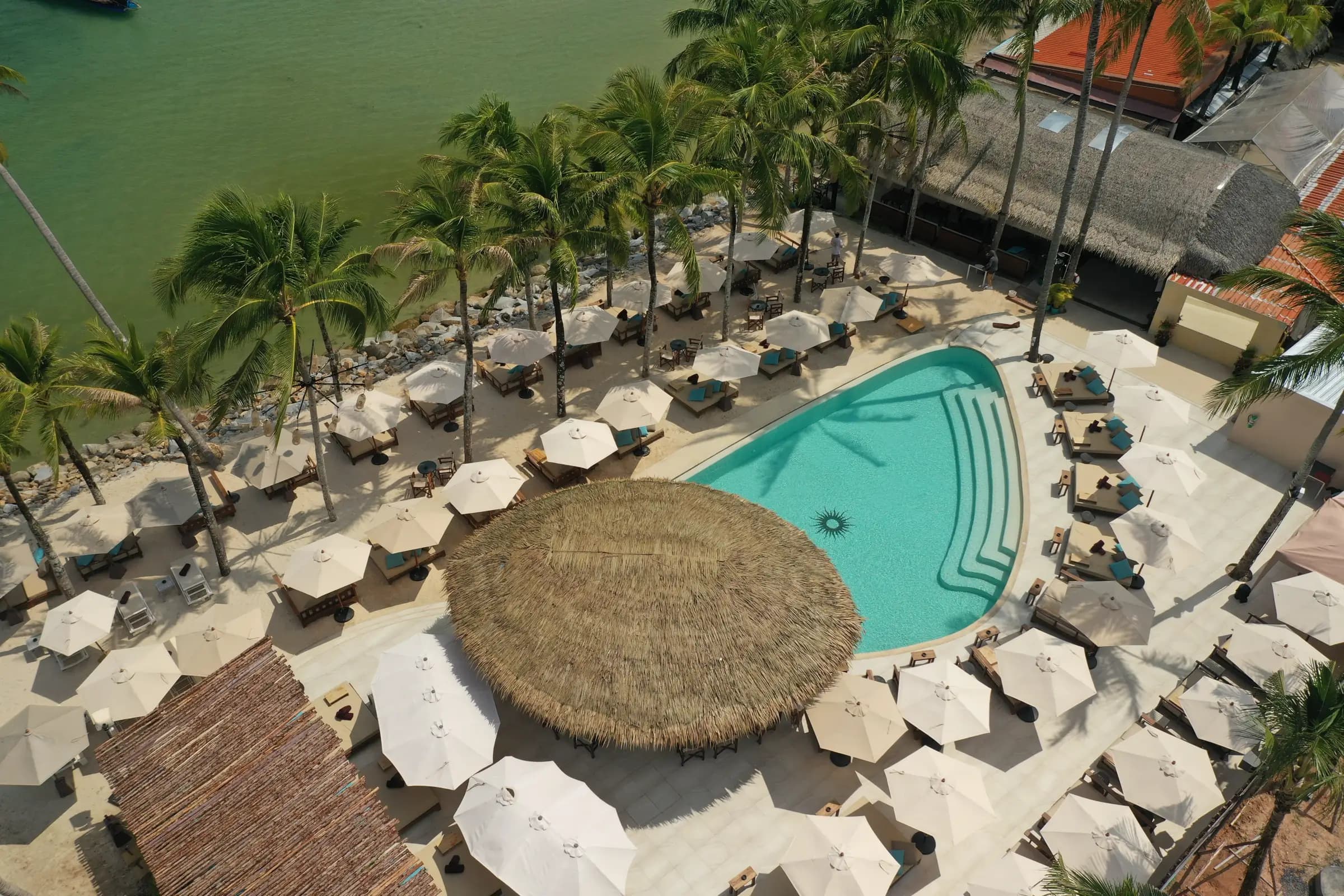Beach club pool and thatched bar among coconut palms beside the sea