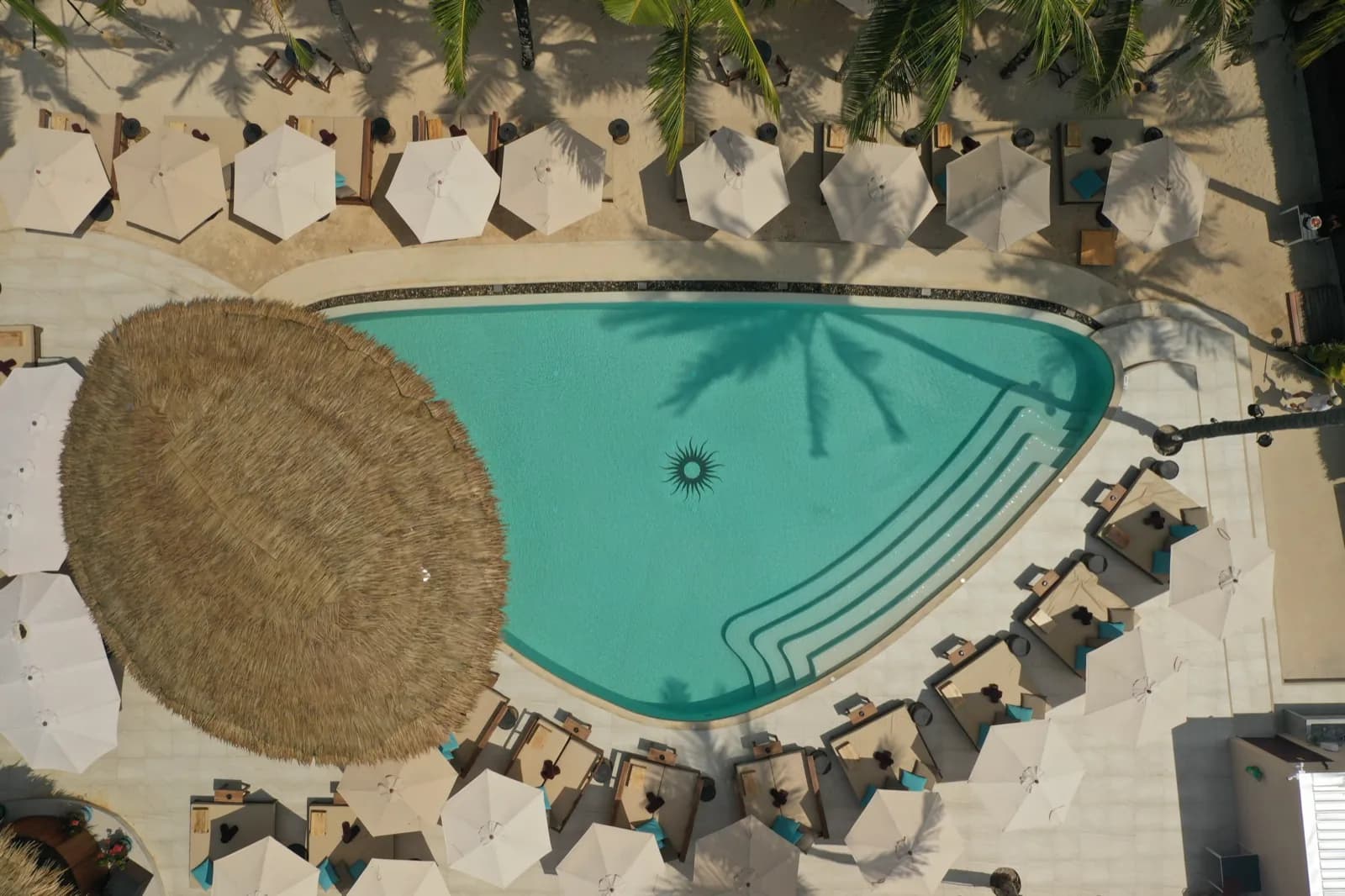 Top-down view of the completed pool with the Carpe Diem logo in the floor and curved steps